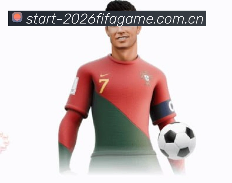 FIFA官方认证